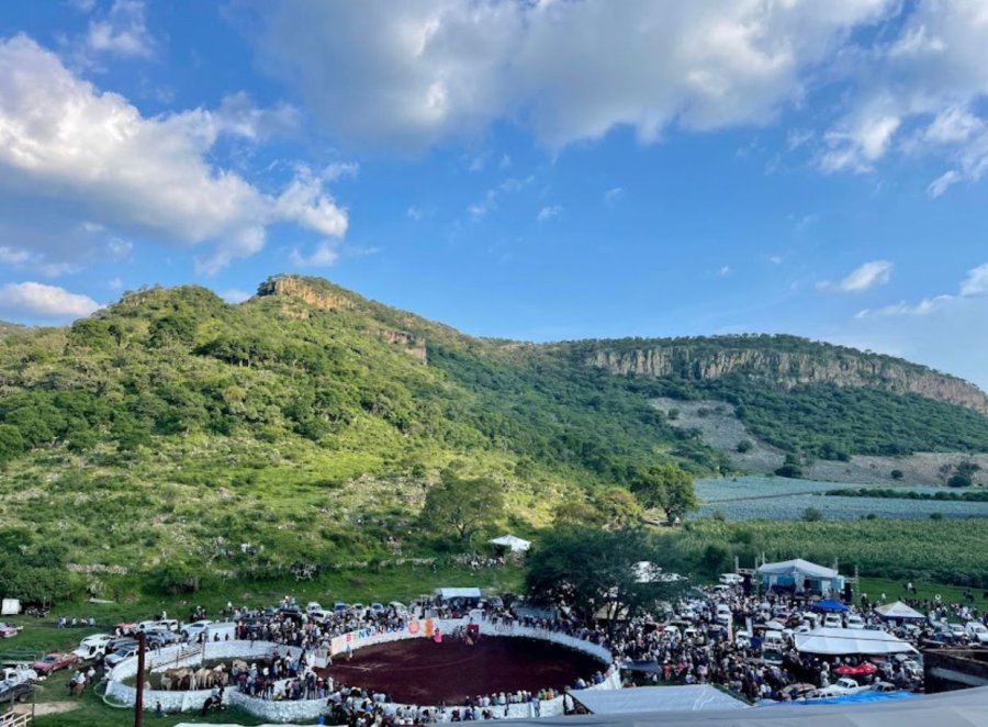 Fiestas en Ayotlán 2023